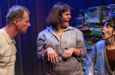 Veel te veel te veel – Beaucoup trop de trop